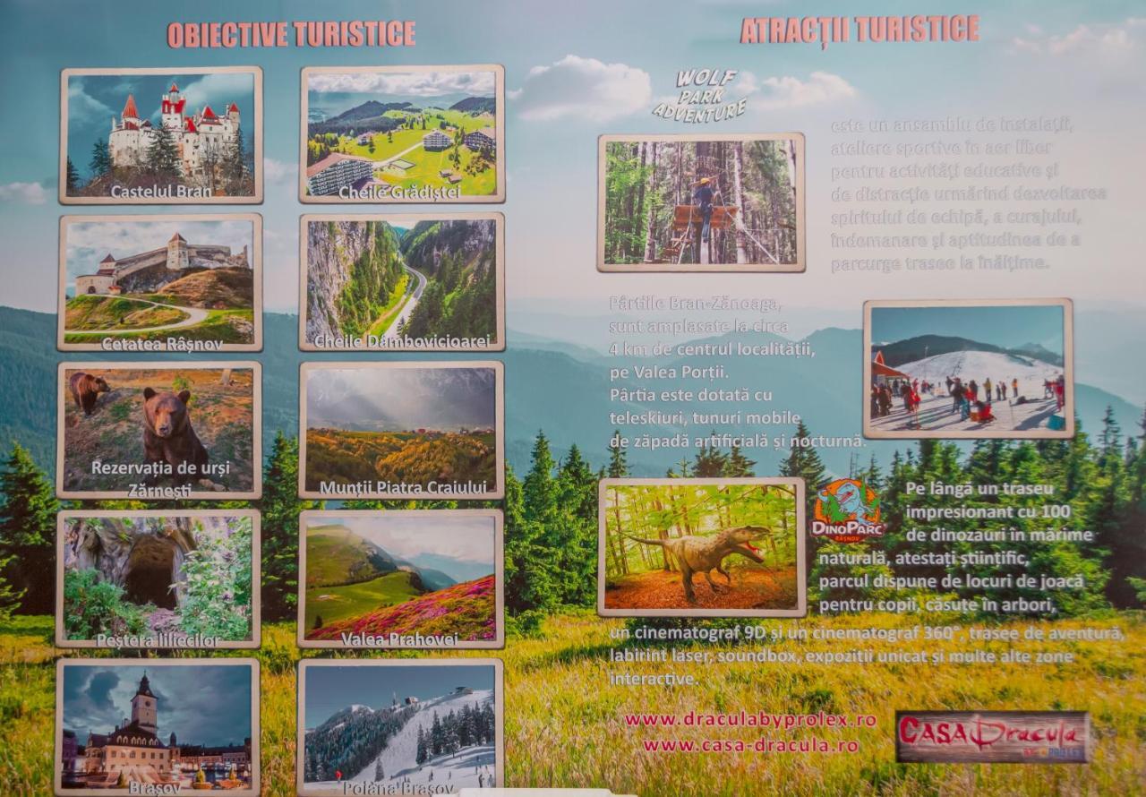 Prolex Turism Srl Hotell Bran  Exteriör bild